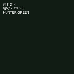 #111D14 - Hunter Green Color Image